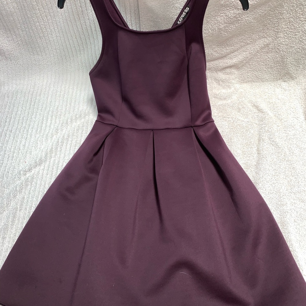 Express Fit and flare dress
